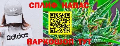 PSILOCYBIN Туймазы