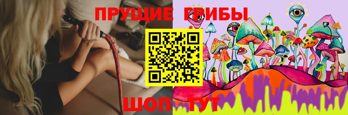 Галлюциногенные грибы GOLDEN TEACHER  Вход с VPN  Кандалакша 